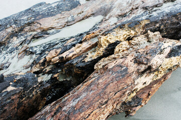 Naklejka premium wood on the beach sand
