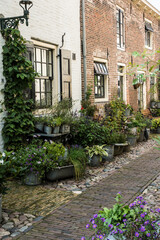 Fototapeta na wymiar street gardens in a city int he Netherlands
