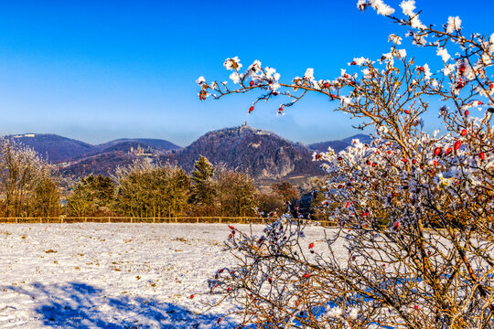 Blick vom winterlichen Rodderberg auf die Hauptberge des Siebengebirges