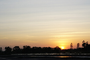 evening sunset Land preparation for rice planting in Thailand