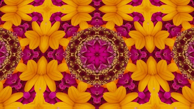 abstract kaleidoscope mixing flowers motion dance effect seamless loop glow digital animated background