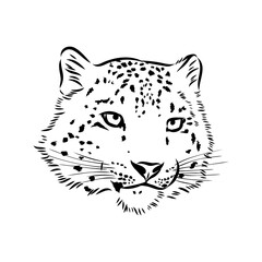 Snow leopard , hand drawn doodle, sketch in pop art style, vector illustration