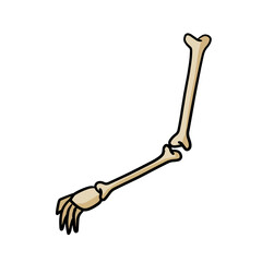 Hand of skeleton. Halloween decoration. Cartoon illustration isolated on white