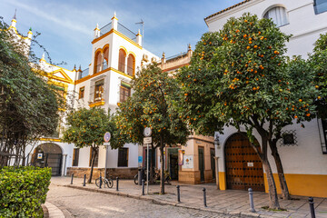Fototapeta premium Streets of Seville, Andalusia, Spain