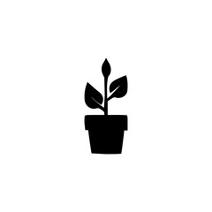 Plant in flower pot hand drawn icon.
