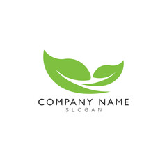 Leaf Nature Logo and Icon Vector Template