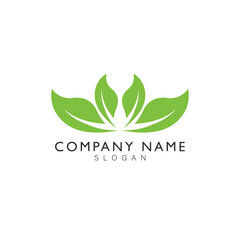 Fototapeta premium Tree leaf logo template design vector , icon illustration