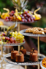 Wedding fruit and cakes table. Fruits for the holidays. Delicious wedding reception. Celebration concept.