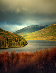 Beautiful Loch Eck in the Argyll Forest Park, Scotland, UK.