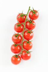 Ripe fresh cherry tomatoes on branch Isolated on white background