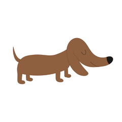 Dachshund dog breed. Cute cartoon character on white background. Isolated. Flat design