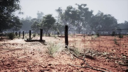 Old rural barbed wire fence with wooden posts