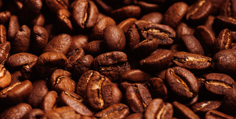 Roasted Arabica beans fresh coffee for espresso Brown background banner