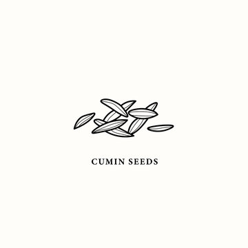 Line art cumin seeds illustration