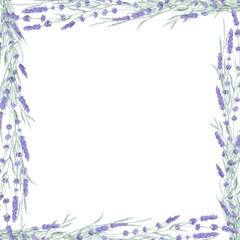 Fototapeta na wymiar Lavender flowers border watercolor illustration. Vintage provence botanical frame clipart element.