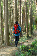 Fototapeta premium ソロ登山をする男性の後ろ姿