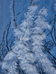 Winterlandschaft im Waldviertel Rappottenstein Niederösterreich österreich europa