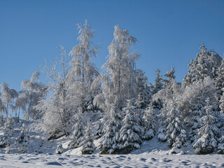 Winterlandschaft im Waldviertel Rappottenstein Niederösterreich österreich europa
