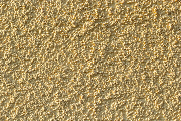 Decorative white wall plaster pattern stylized in bark beetle texture. The white texture of the surface of the wall covered with decorative plaster of the woodworm type, close-up abstract background