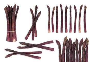 Purple asparagus isolated on white background