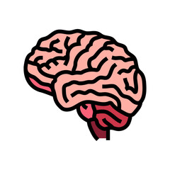 human brain human color icon vector. human brain human sign. isolated symbol illustration