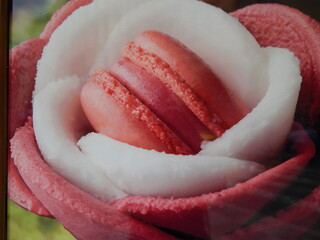 Closeup of Pink Sweet Dessert Magaron