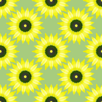 Sunflowers on a green background. Seamless pattern
