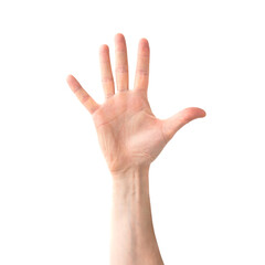 Open hand and five fingers in PNG isolated on transparent background