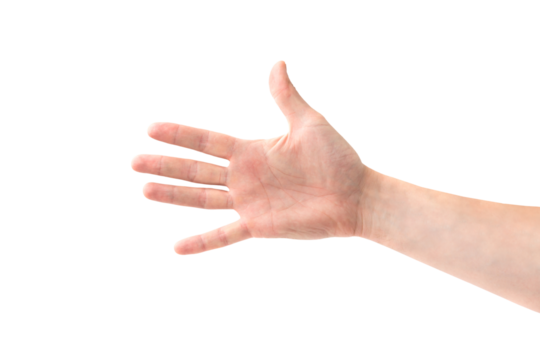 Open hand palm handshake and five fingers in PNG isolated on transparent background