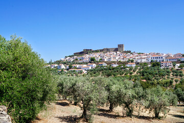 Olive trees, castle and village, Alentejo, Portugal