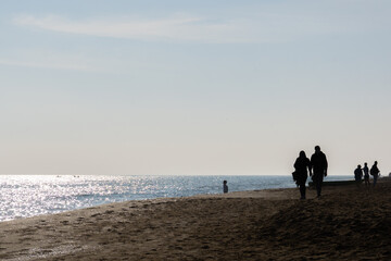 Walking along the beach on a beautiful winter day.