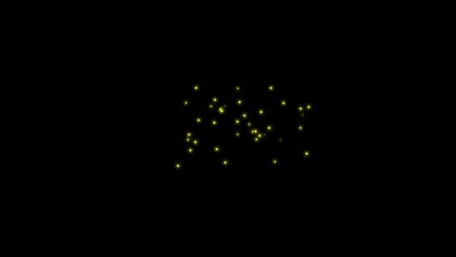 Swarm of fireflies. Isolated flying insects. Overlay. Black background. 23,98fps
