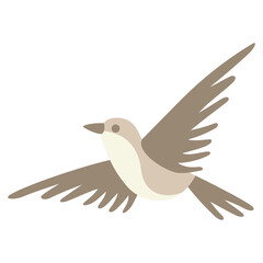 bird flight