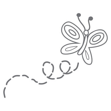 butterfly flight