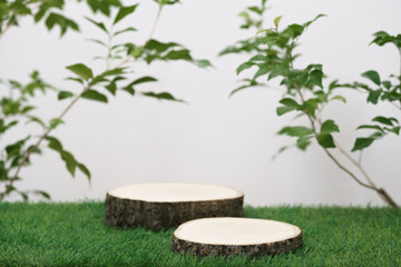 empty wooden podium texture on grass with tree branch fresh green leaf white space background.organic healthy natural product pedestal platform promotion show display,spring banner concept design.