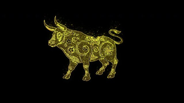 happy chinese new year celebration with golden ox loop background animation with copy space Seamless loop animation transparent background with alpha channel