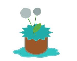 The circle-shaped trees after the rain are beautiful as ever.