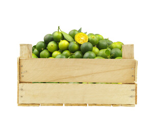 Calamansi limes in wooden crate isolated on white background.