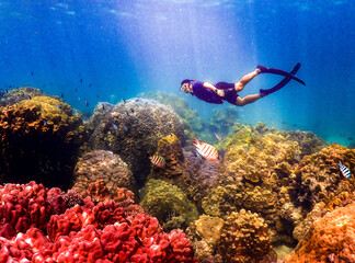 Free dive and Sea fan coral reef at Sattahip Chonburi Thailand
