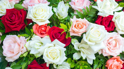 Obraz na płótnie Canvas Colorful fresh roses or multi-colored roses background. A beautiful bouquet of roses for valentines