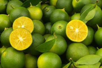 Naklejka na ściany i meble Fresh green limes background. Many ripe calamansi limes close up.