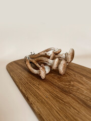 Mushrooms are lying on a wooden board. Autumn forest still life in beige colors
