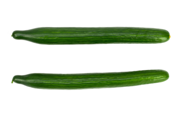 Fresh long and green cucumber on white backkground. Raw vegan food concept.