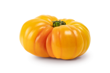 Fresh yellow beefsteak tomatoes isolated on a white background. Fresh vegetables.