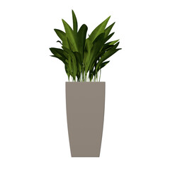 Front view of Plant (Flowerpot with Dracaena 1) Tree  png