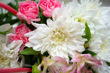 background with flowers. Peonies bouquet macro photo. Panel with flowers.