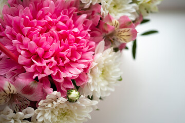 pink chrysanthemum flowers