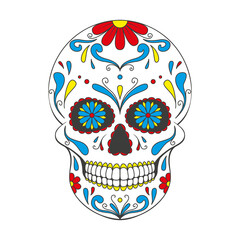 Day of The Dead sugar Skull with floral ornament. Mexican skull. Illustration on transparent background