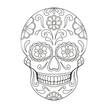 recommend clip art: Day of The Dead sugar Skull with floral ornament. Mexican skull. Illustration on transparent background