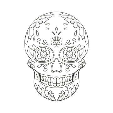 recommend clip art: Day of The Dead sugar Skull with floral ornament. Mexican skull. Illustration on transparent background
